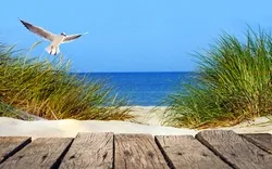 Ostseestrand