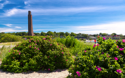 Laboe