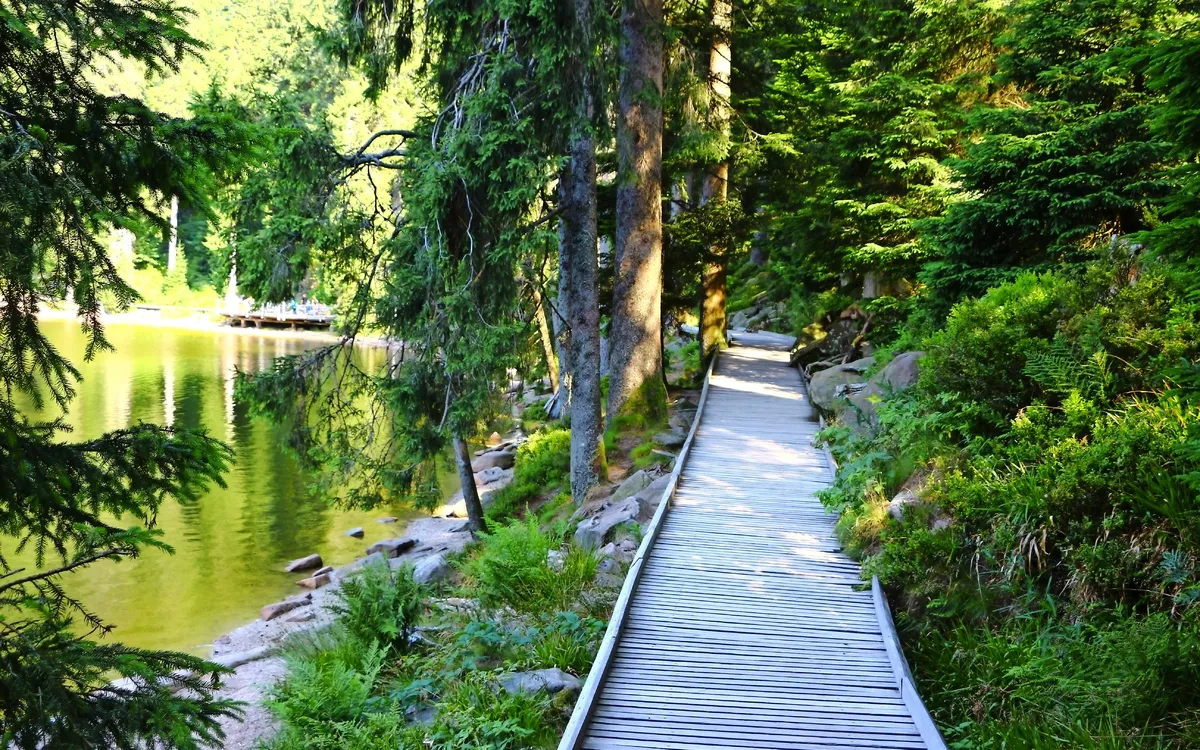 Holzsteg am Mummelsee im Schwarzwald, Deutschland
