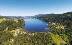 Blick auf den Titisee