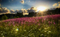 Tal im tschechischen Nationalpark Riesengebirge