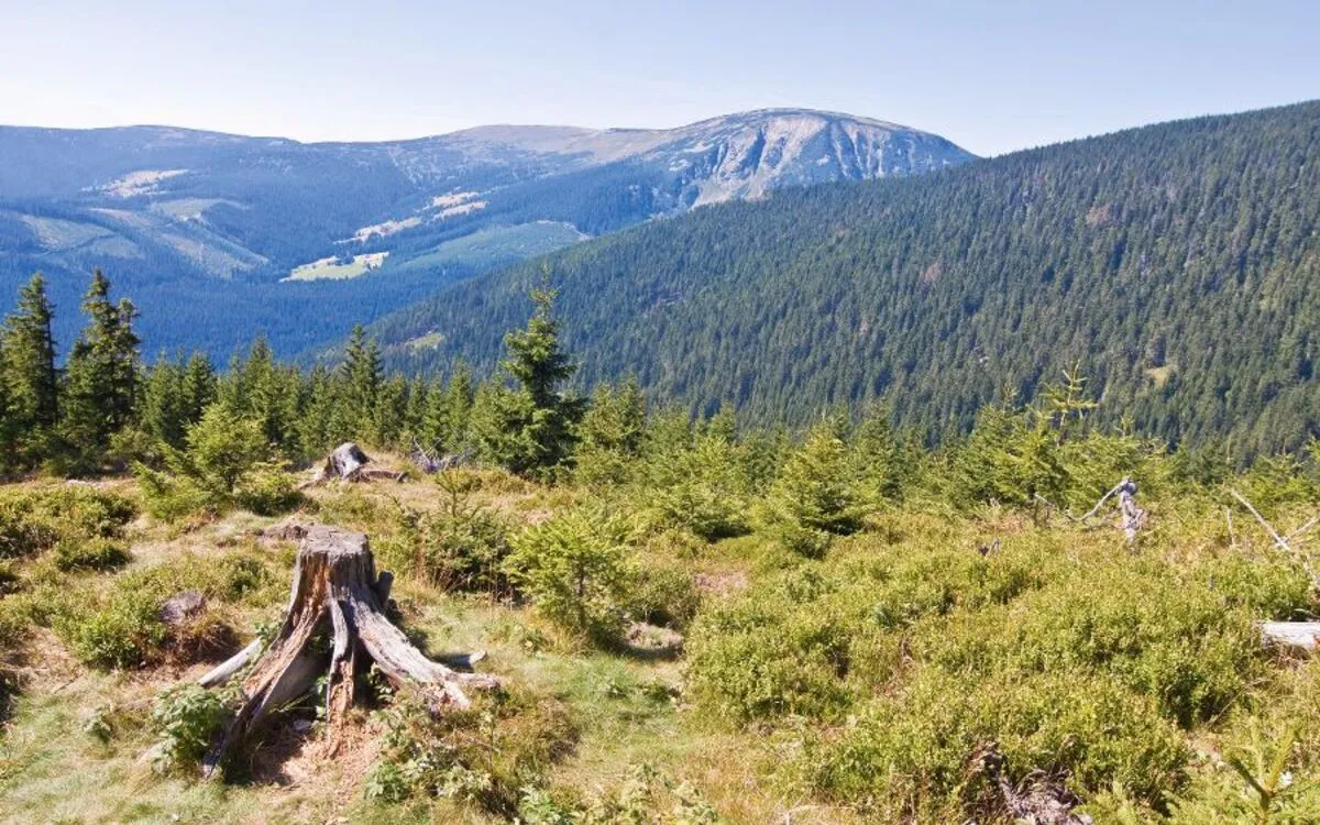 Panorama Riesengebirge