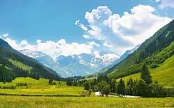 Idyllische Naturlandschaft