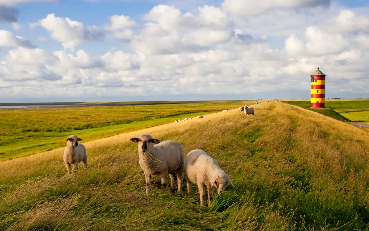 Ostfriesland