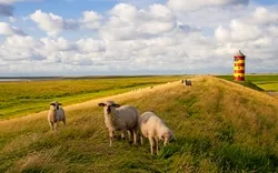 Ostfriesland