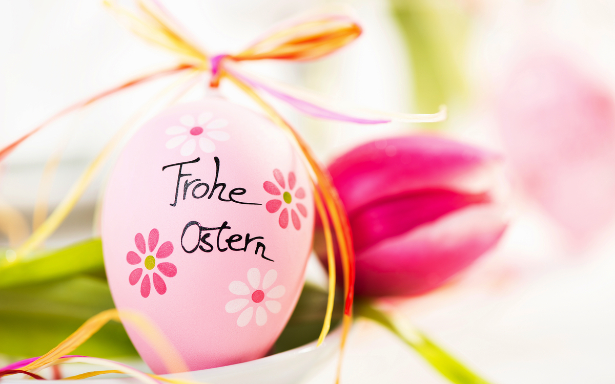 Osterdekoration - Osterei mit Tulpe