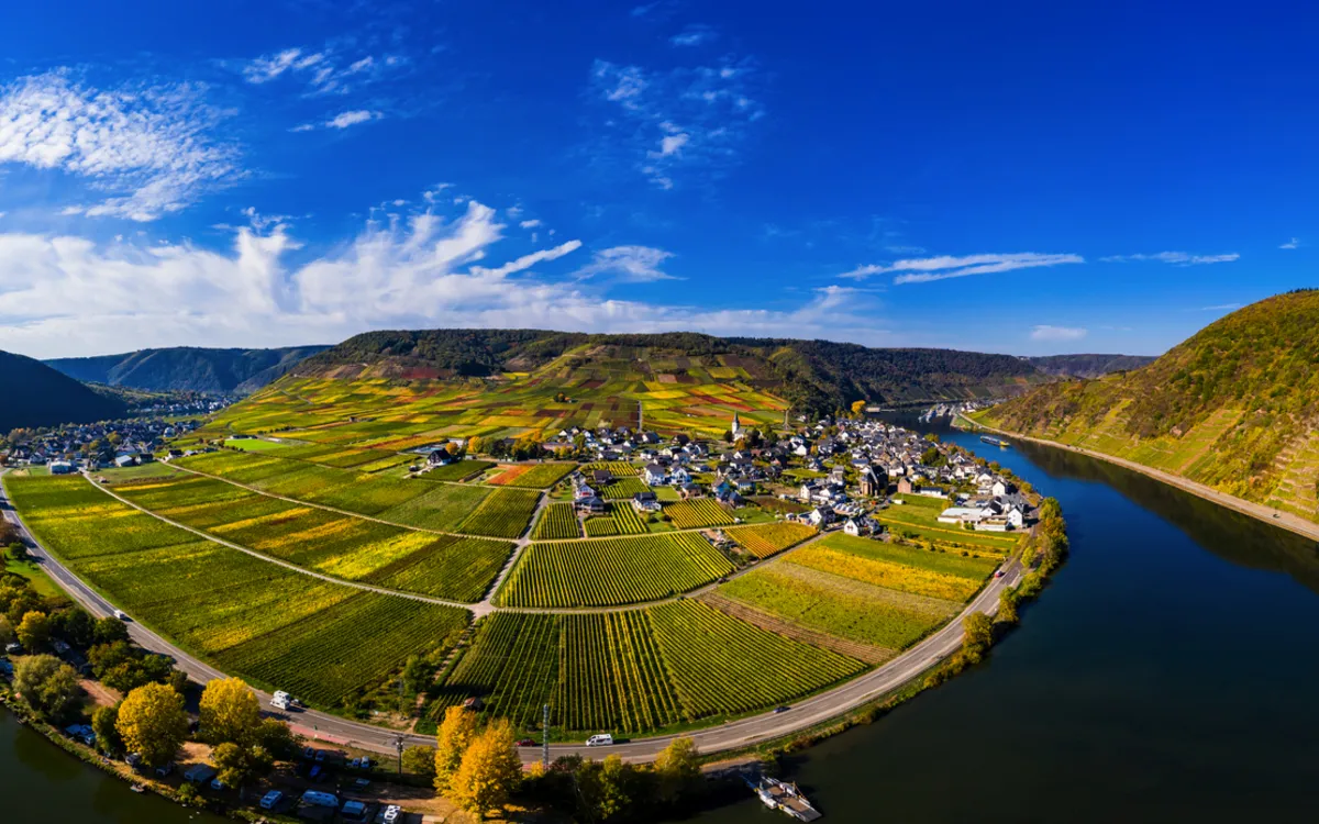 Luftaufnahme von Poltersdorf an der Mosel mit Weinbergen 