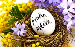 Frohe Ostern!