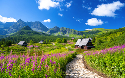 Tatra-Gebirge und Holzhütten nahe Zakopane