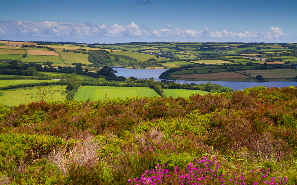 Wimbleball Lake auf Exmoor in Somerset, England