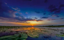 Sonnenuntergang an der Donau-Delta