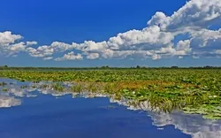 Donau-Delta in Rumänien