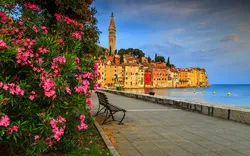 Rovinj in Istrien, Kroatien