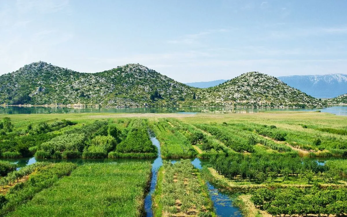 Landwirtschaftliche Fläche in Neretva-Delta in Kroatien