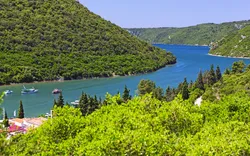 Limfjord