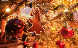 ein Weihnachtsbaum-Ingwerplätzchen schmückt einen echten Weihnachtsbaum