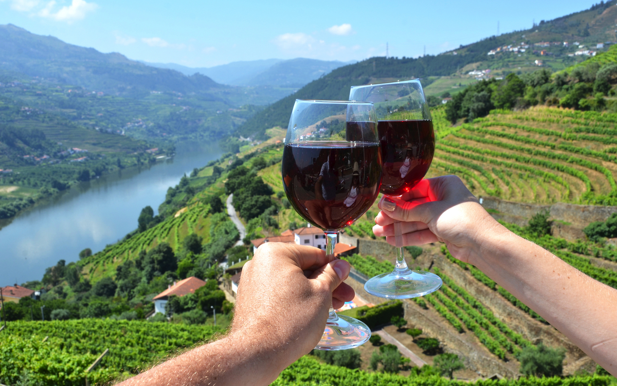 Weinberge im Duoro-Tal, Portugal