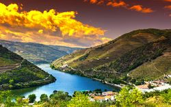 Douro-Region bei Sonnenaufgang