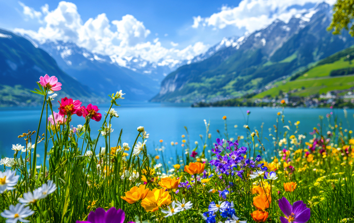 Bunte Blumenwiese vor einem klaren See mit Bergen im Hintergrund bei Sonnenschein.