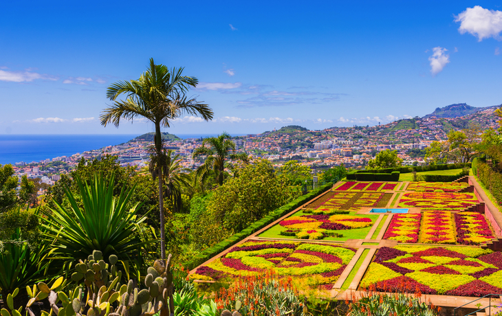 Botanischer Garten mit Blick auf eine Stadt und das Meer im Hintergrund.