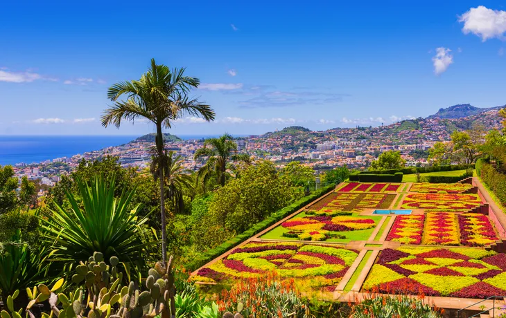 Botanischer Garten mit Blick auf eine Stadt und das Meer im Hintergrund.