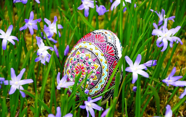 Künstlerisch verziertes sorbisches Osterei liegt zwischen lila Blumen auf einer Wiese.