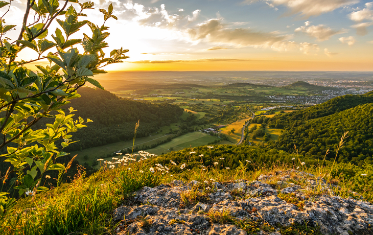 Blick auf eine grüne Landschaft bei Sonnenuntergang mit Hügeln und Wiesen.