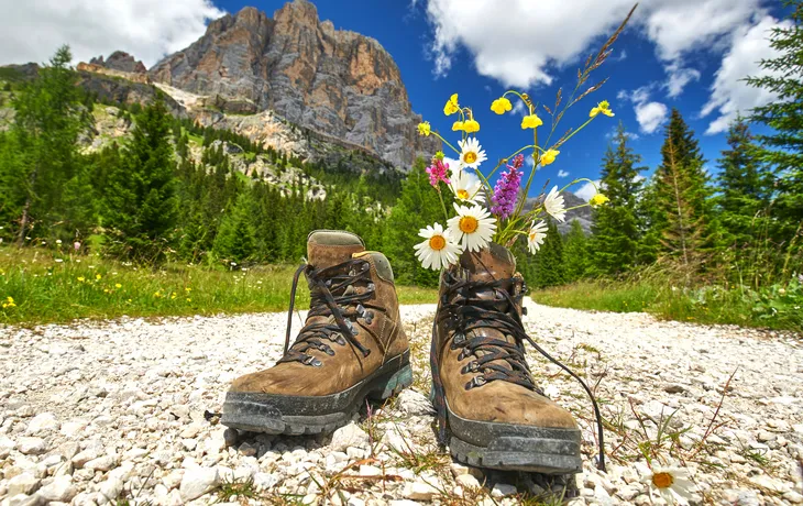 Wanderschuhe auf Kiesweg mit Blumen, Bergkulisse im Hintergrund.