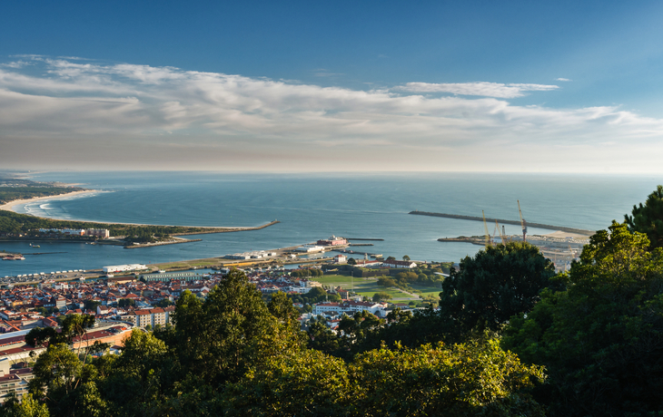 Küstenstadt mit Hafen und Meerblick, im Vordergrund Wald und Hügel.